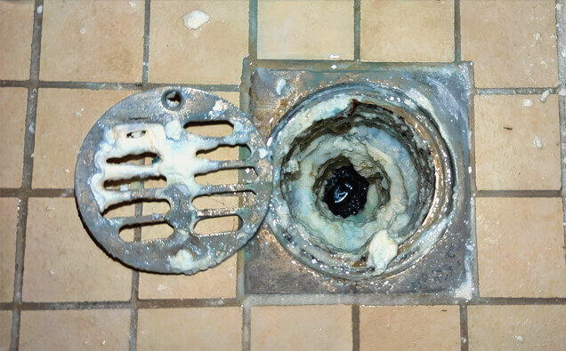https://blockeddrainsapplecross.com.au/uploads/2025/07/blocked-shower-drains-33151.jpg