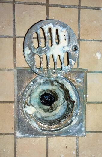 https://blockeddrainsapplecross.com.au/uploads/2025/07/blocked-shower-drains-86331.jpg