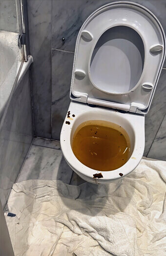 https://blockeddrainsapplecross.com.au/uploads/2025/07/blocked-toilet-27793.jpg