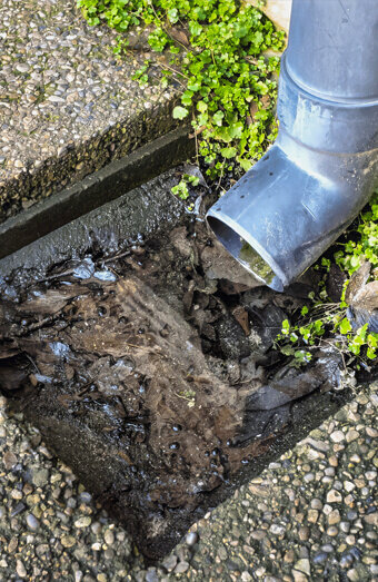https://blockeddrainsapplecross.com.au/uploads/2025/07/hero-blocked-sewers-20143.jpg