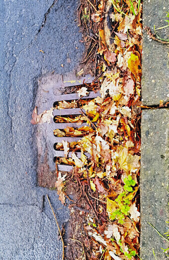 https://blockeddrainsapplecross.com.au/uploads/2025/07/stormwater-drains-48051.jpg