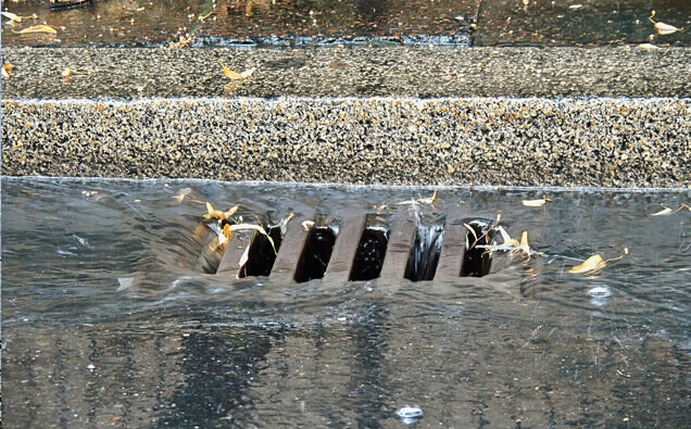 https://blockeddrainsapplecross.com.au/uploads/2025/07/stormwater-drains-54996.jpg